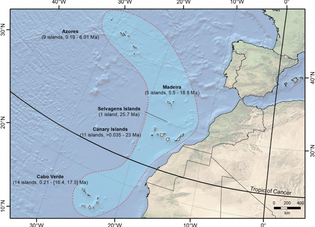 Macaronesia as a Fruitful Arena for Ecology, Evolution, and Conservation Biology