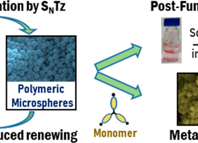 Tetrazine Dynamic Covalent Polymer Networks