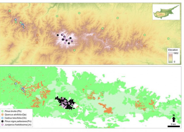 Community metabarcoding reveals the relative role of environmental filtering and spatial processes in metacommunity dynamics of soil microarthropods across a mosaic of montane forests
