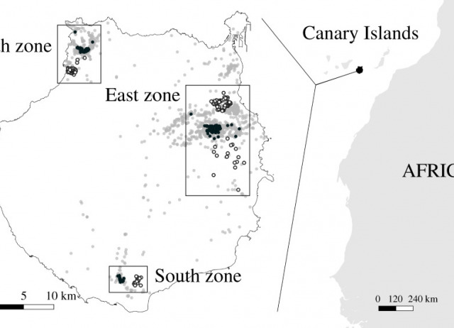 Invasive snake causes massive reduction of all endemic herpetofauna on Gran Canaria
