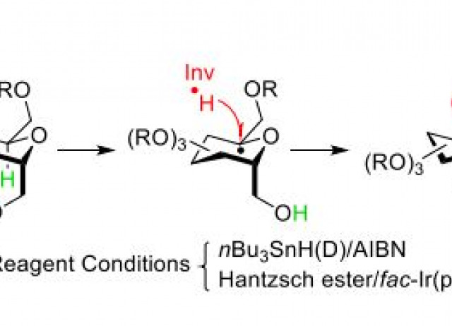 Free-Radical Epimerization of D- into L-C-(glycosyl)methanol Compounds Using 1,5-Hydrogen Atom Transfer Reaction