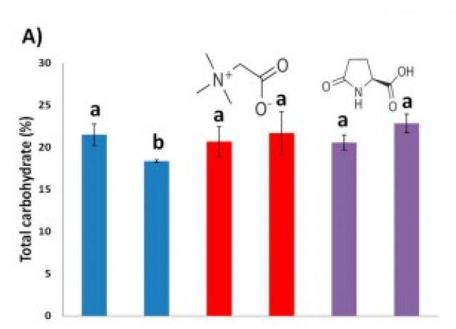 Applying Biostimulants to Combat Water Deficit in Crop Plants: Research and Debate