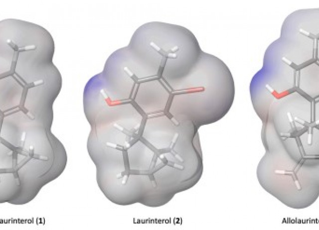 Cyclolauranes as plausible chemical scaffold against Naegleria fowleri