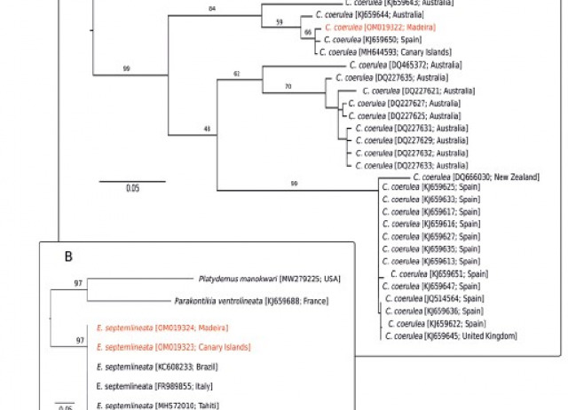 DNA barcoding reveals new records of invasive terrestrial flatworms (Platyhelminthes, Tricladida, Geoplanidae) in the Macaronesian region