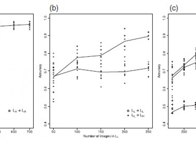 Image-based taxonomic classification of bulk insect biodiversity samples using deep learning and domain adaptation