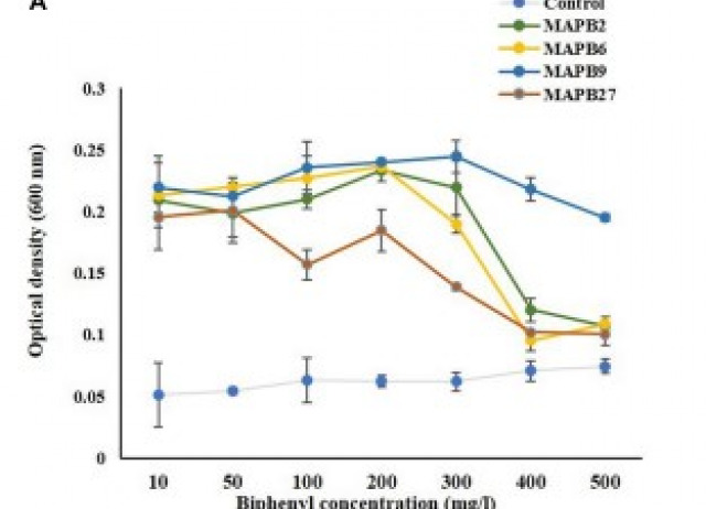 PCB-77 biodegradation potential of biosurfactant producing bacterial isolates recovered from contaminated soil
