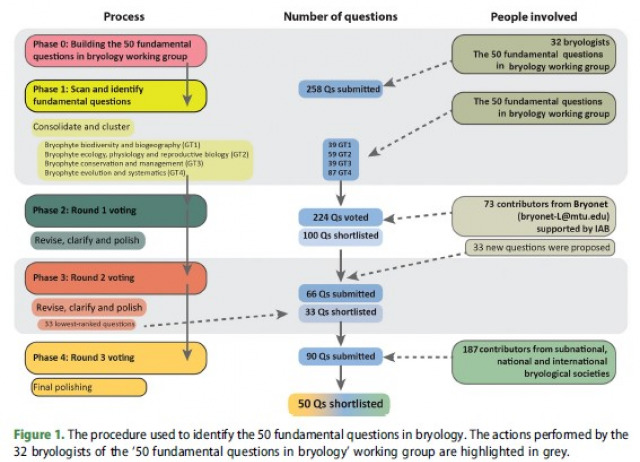 Unveiling the nature of a miniature world: a horizon scan of fundamental questions in bryology