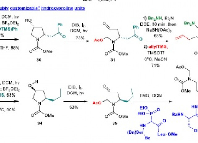 “Cut and Paste” Processes in the Search of Bioactive Products: One-Pot, Metal-free O-Radical Scission-Oxidation-Addition of C, N or P-Nucleophiles