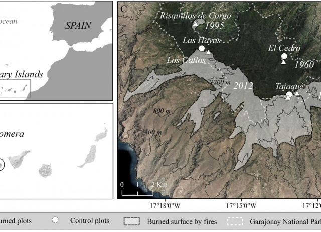 Multiple responses of bryophytes in a chronosequence of burnt areas in non-fire prone subtropical cloud forests