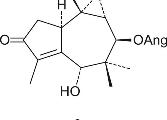 Bioactive compounds from transformed root cultures and aerial parts of Bethencourtia hermosae