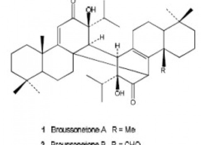 Two novel abietane dimers from transformed root cultures of Salvia broussonetii