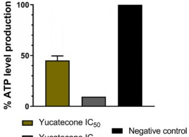 Identification and characterization of novel marine oxasqualenoid yucatecone against Naegleria fowleri