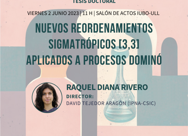 Tesis Raquel Diana Rivero