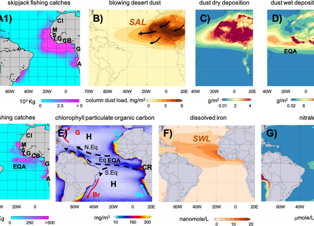 African desert dust influences migrations and fisheries of the Atlantic skipjack-tuna