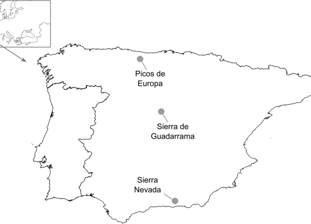 Addition of nocturnal pollinators modifies the structure of pollination networks