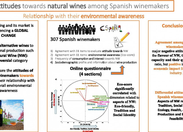 Attitudes towards natural wines among Spanish winemakers: relationship with environmental awareness