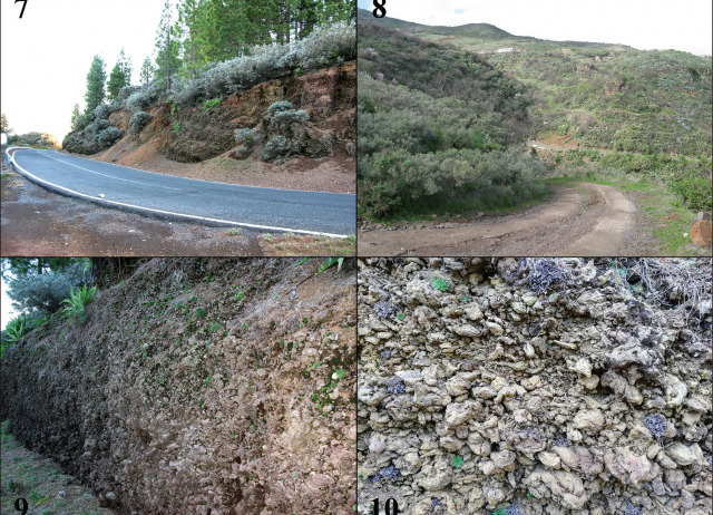 A new subterranean species of Entomoculia Croissandeau, 1891 from the Canary Islands, Spain (Coleoptera, Staphylinidae, Leptotyphlinae)