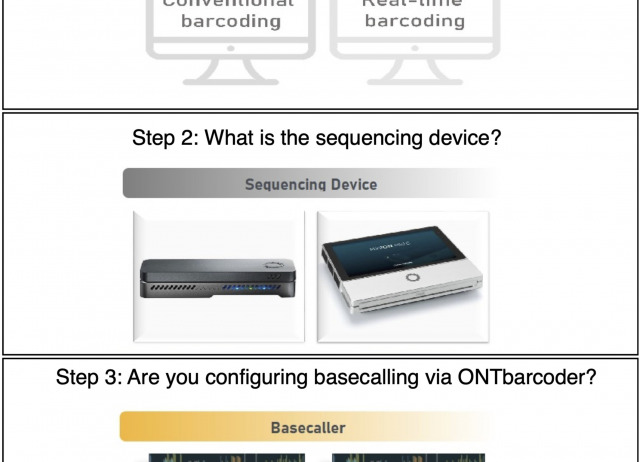 ONTbarcoder 2.0: rapid species discovery and identification with real-time barcoding facilitated by Oxford Nanopore R10.4