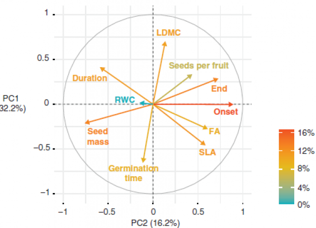 Differential patterns of within- and between-population genetically based trait variation in Lupinus angustifolius