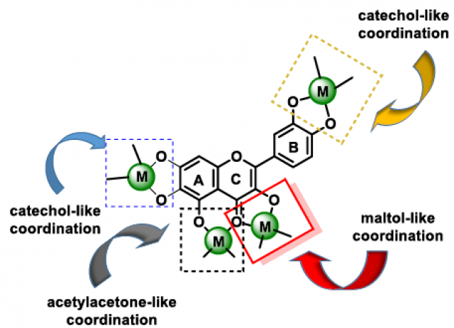 Antioxidant Metabolism Pathways in Vitamins, Polyphenols, and Selenium: Parallels and Divergences