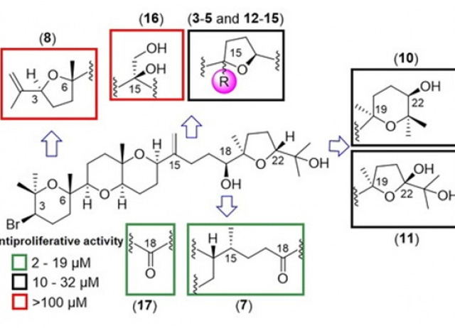 Antiproliferative effect of natural and semisynthetic polyethers from Laurencia viridis