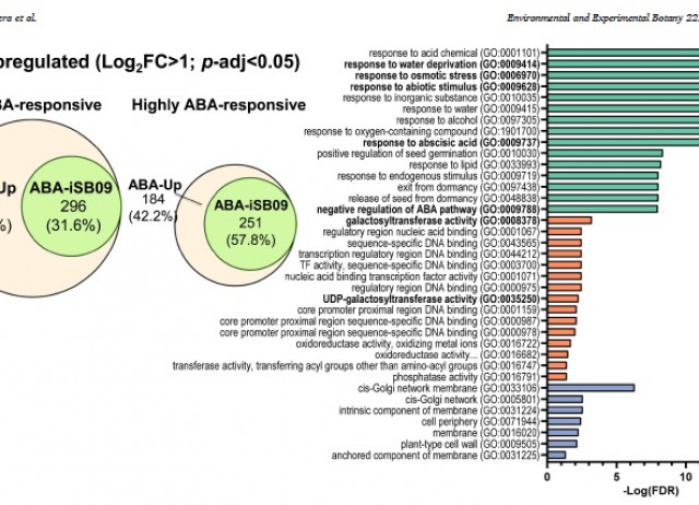 ABA-receptor agonist iSB09 decreases soil water consumption and increases tomato CO2 assimilation and water use efficiency under drought stress