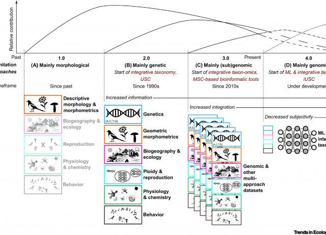 Species delimitation 4.0: integrative taxonomy meets artificial intelligence