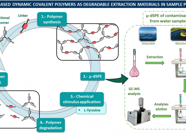 Tetrazine-based dynamic covalent polymers as degradable extraction materials in sample preparation