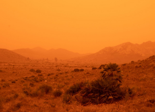 20220315-Cabo de Gata-Eva de Mas EEZA-CSIC