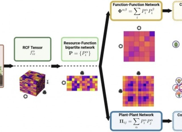 On the structure of species-function participation in multilayer ecological networks