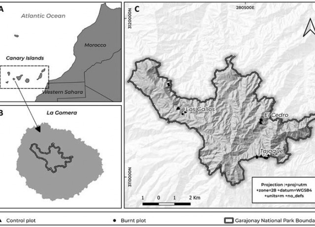 Using bryophyte life strategies as indicators of fire disturbance in Macaronesian laurel forests