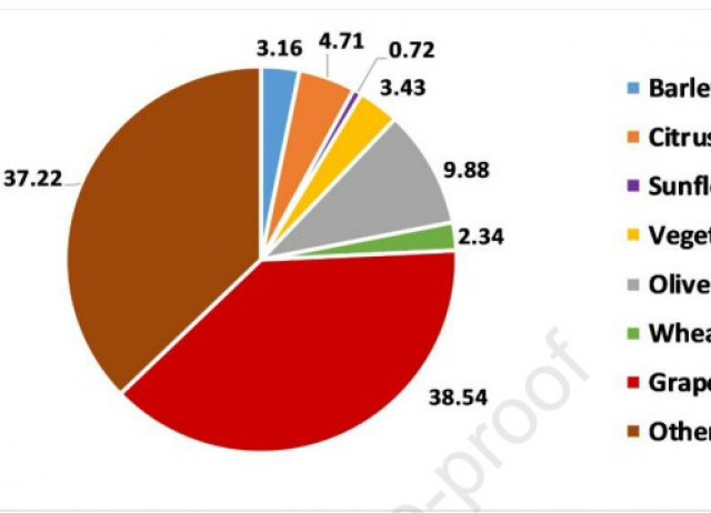 Big sales, no carrots: Assessment of pesticide policy in Spain