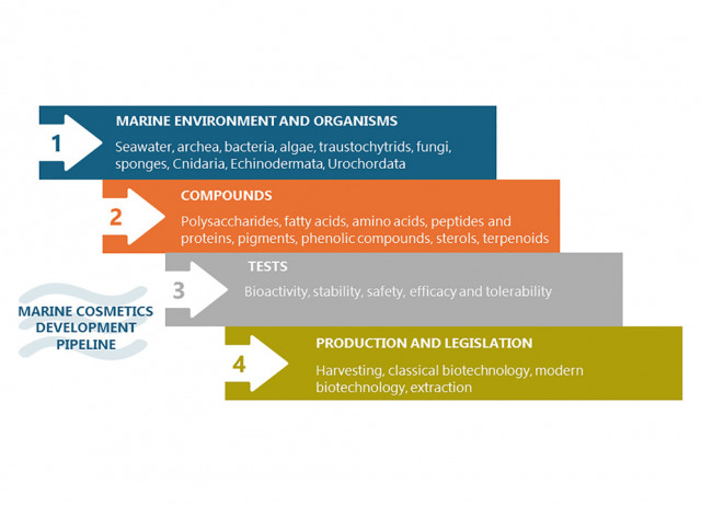Marine cosmetics and the blue bioeconomy: From sourcing to success stories