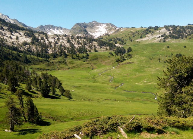 Los engaños temporales del oso. La producción de una reserva en el Pirineo catalán basada en la restauración de un paisaje
