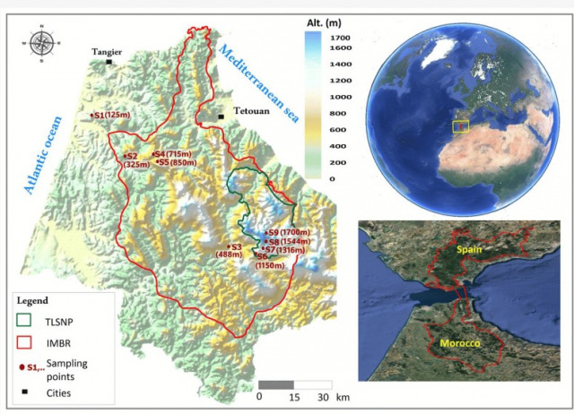 Termite (Blattodea: Isoptera) Distribution Along an Elevational Gradient in Northwestern African Mountains