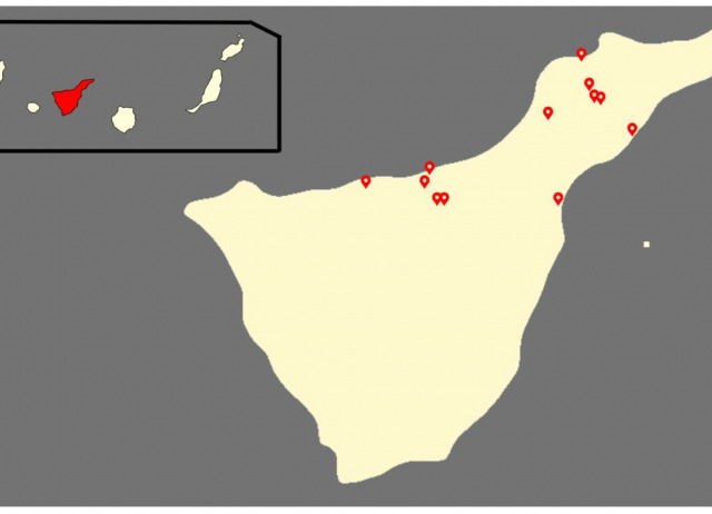Insights into Organic Food Consumption in Tenerife (Spain): Examining Consumer Profiles and Preferences