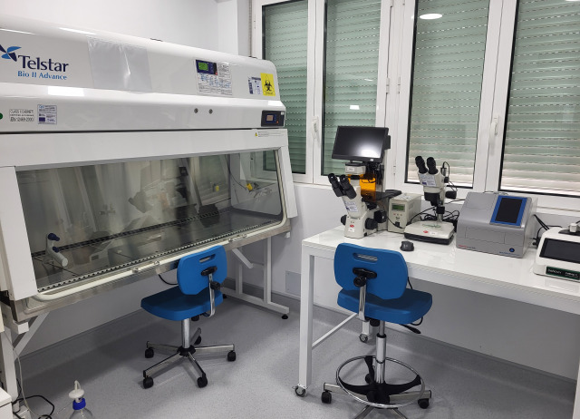 Actividad biológica