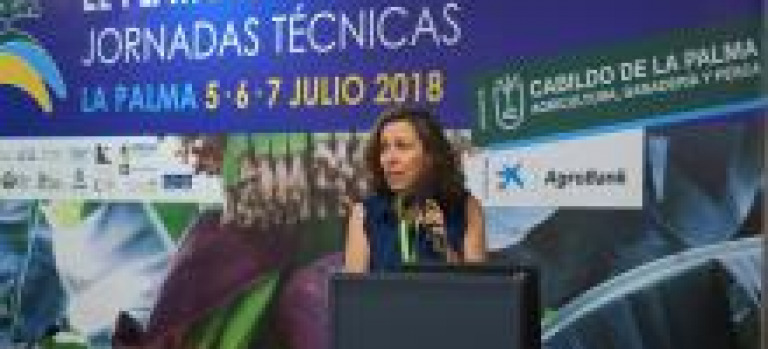Technical Conferences on Bananas in the Canary Islands