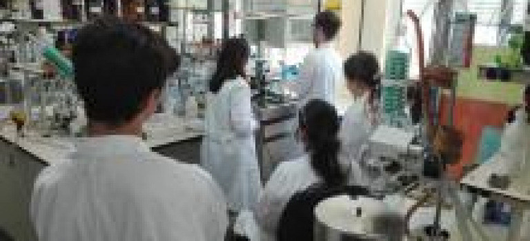  2018 Summer Scientific Week