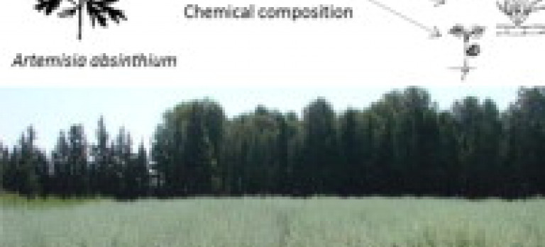 Chemical composition and biological