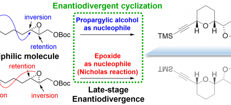 Enantiodivergent cyclization by inversion of the reactivity inambiphilic molecules