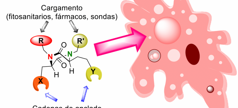 sistemas antimicrobianos
