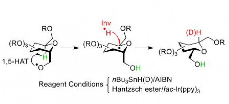 Free-Radical Epimerization of D- into L-C-(glycosyl)methanol Compounds Using 1,5-Hydrogen Atom Transfer Reaction
