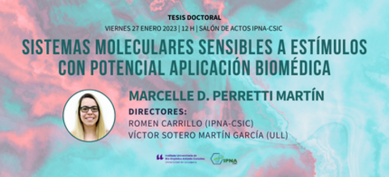 Tesis Marcelle Perretti