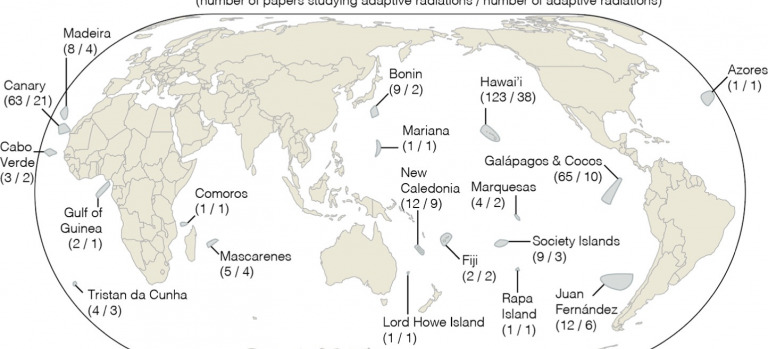 Evolutionary genomics of oceanic island radiations
