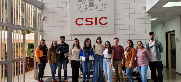 Programa Investigo 2023