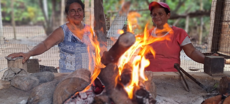 Actividades CLIMALBIO