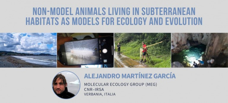 Charla Alejandro Martinez