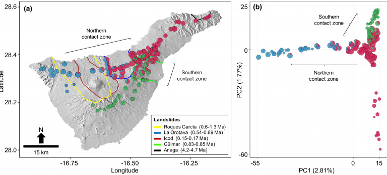 Genetic legacies of mega-landslides: Cycles of isolation and contact across flank collapses in an oceanic island