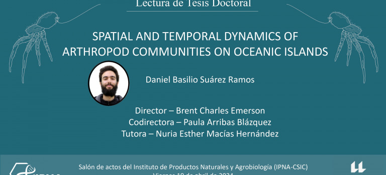 Tesis Basilio Suárez